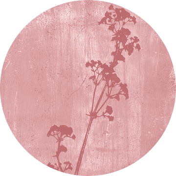 Botanische illustratie in retrostijl in donkerroze van Dina Dankers