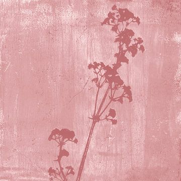 Botanische Illustration im Retro-Stil in dunklem Rosa von Dina Dankers