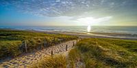 Sonne, Meer und Sand an der niederländischen Küste von Dirk van Egmond Miniaturansicht