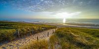 Sun, sea and sand on the Dutch coast