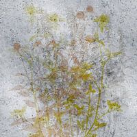 Wild herbs