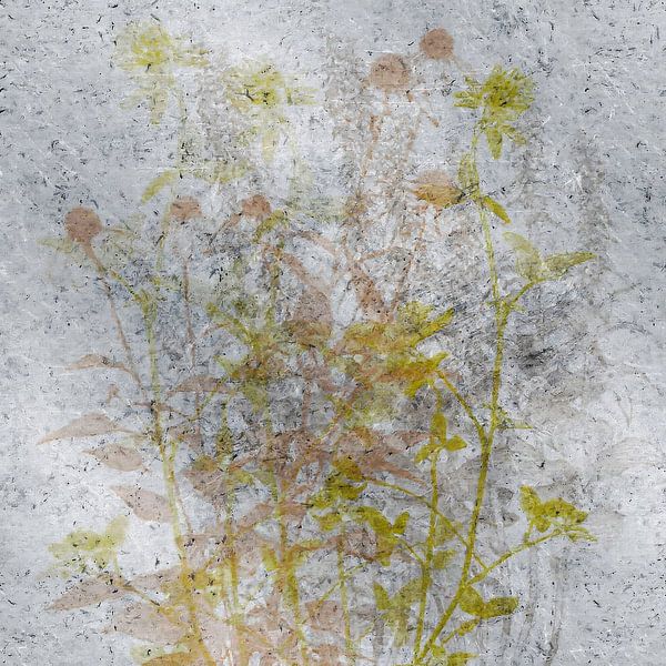 Wild herbs by Kay Weber