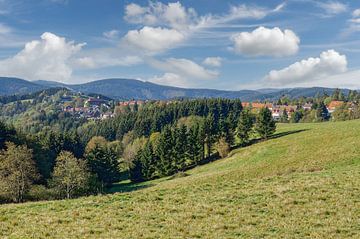 Urlaubsort Sankt Andreasberg im Harz von Peter Eckert