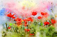 Papaverbloemenweide van Claudia Evans thumbnail
