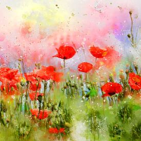 Prairie de fleurs de pavot sur Claudia Evans