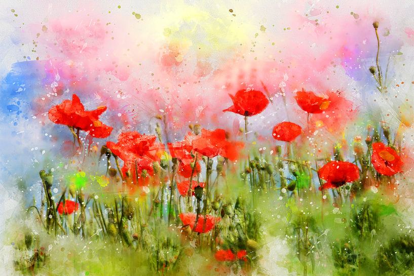 Papaverbloemenweide van Claudia Evans