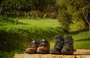 Wandelschoenen van Frans Scherpenisse