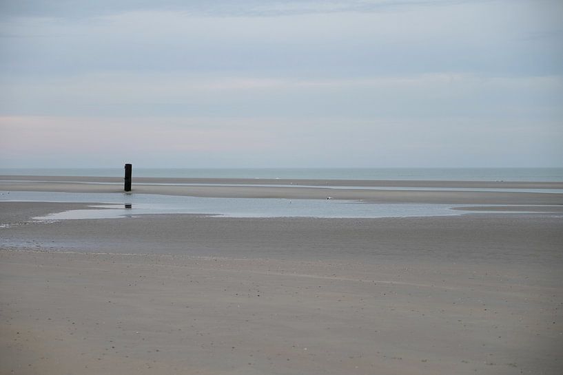 Een verstild moment par Cees Laarman