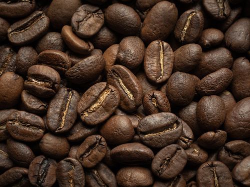 Koffiebonen - III