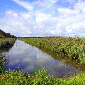 Canal in Almere Pampus by Jarretera Photos