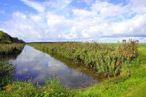 Canal in Almere Pampus