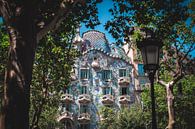 Casa Batlló Between the Trees by Kwis Design thumbnail