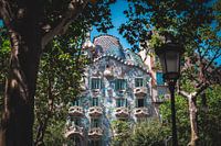 Casa Batlló Between the Trees
