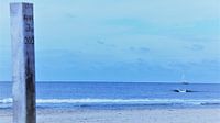 shore