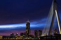 Skyline von Rotterdam während der blauen Stunde.