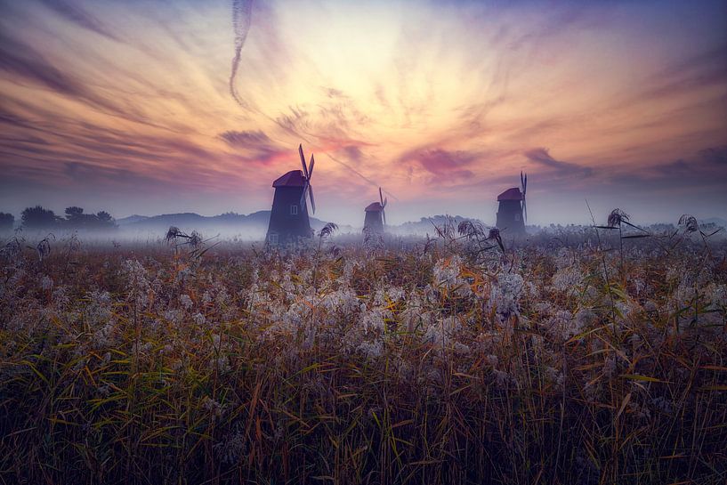 Morning of Sorae by Tiger Seo