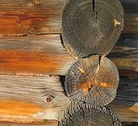 Structuren in hout