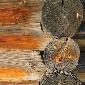 Structuren in hout van Floris den Ouden