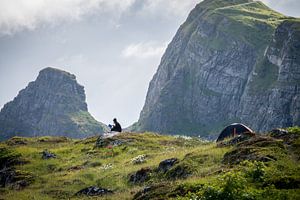 Lezen in de natuur en in alle rust van Ellis Peeters