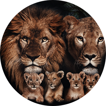 Leeuwen gezin met 4 welpen