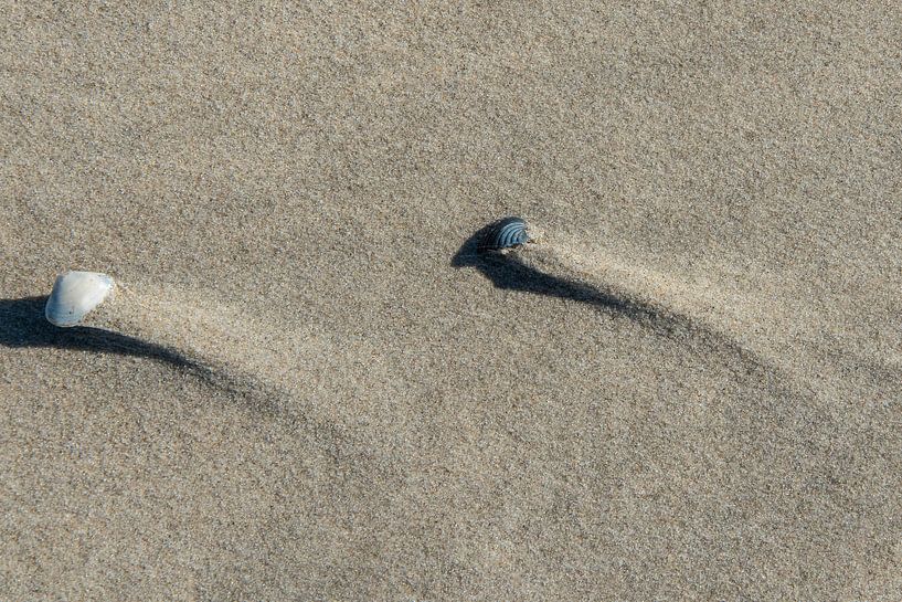 Muscheln am Strand von Arie Jan van Termeij