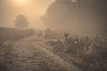 Through the mist van John Goossens Photography