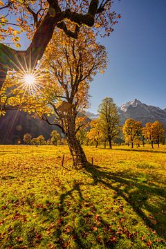 Golden autumn in the Karwendel ? here at "Großer Ahornboden" by Einhorn Fotografie