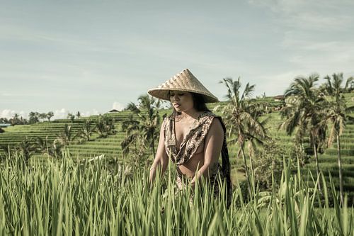De Schoonheid van Bali – Rust en Traditie