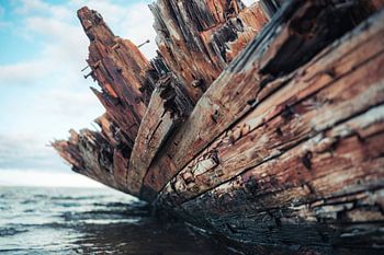 The Tooth of Time – An Authentic Shipwreck on the Coast