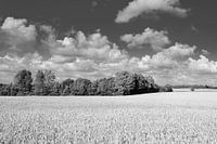 Deens landschap