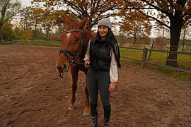 Training with the bay Oldenburg mare on a riding arena