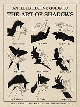 The Art of Shadows X, Mary Urban van Wild Apple