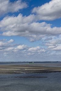 Westerschelde in de zomer, Perkpolder, Nederland