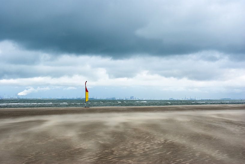 Windy van Willem Havenaar