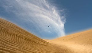 0311 Desert Kite van Adrien Hendrickx