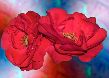 Rode rozen in aquarel bewerking van Ina Hölzel