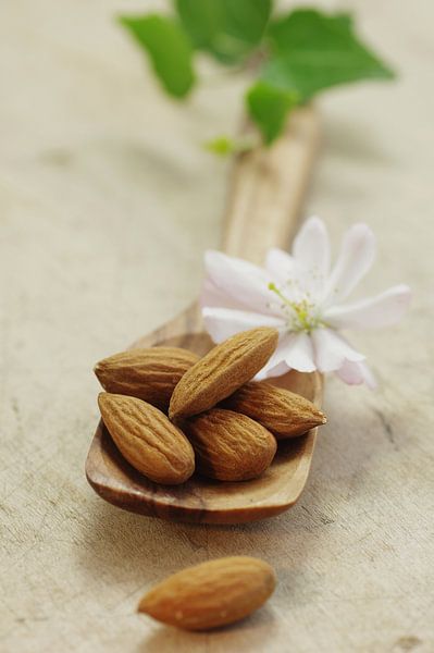 Amandes fraîches Still Life par Tanja Riedel