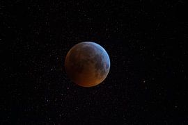 maan by eric brouwer