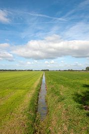 Polder landscape Drenthe by Richard Wareham