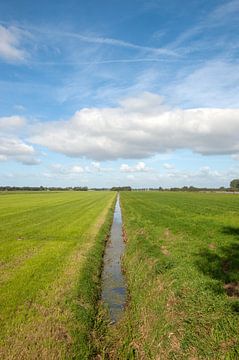 Polder landschap Drenthe van Richard Wareham