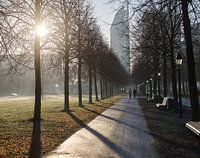 The Hague in the morning.