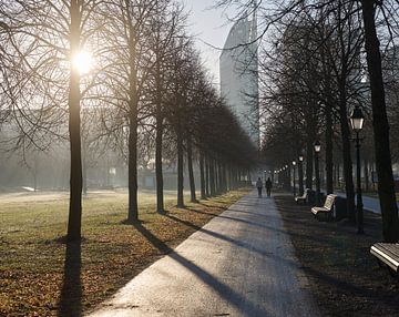 Den Haag in de ochtend. van Sjoerd van der Hucht
