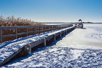 Steiger op de Bodden bij Wieck op de Fischland-Darß in de winter van Rico Ködder