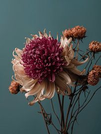 Dried flowers on natural clear background Blue by Esmeé Kiewiet