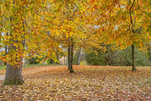 KONZEPT HERBST : HERBST BLÄTTER