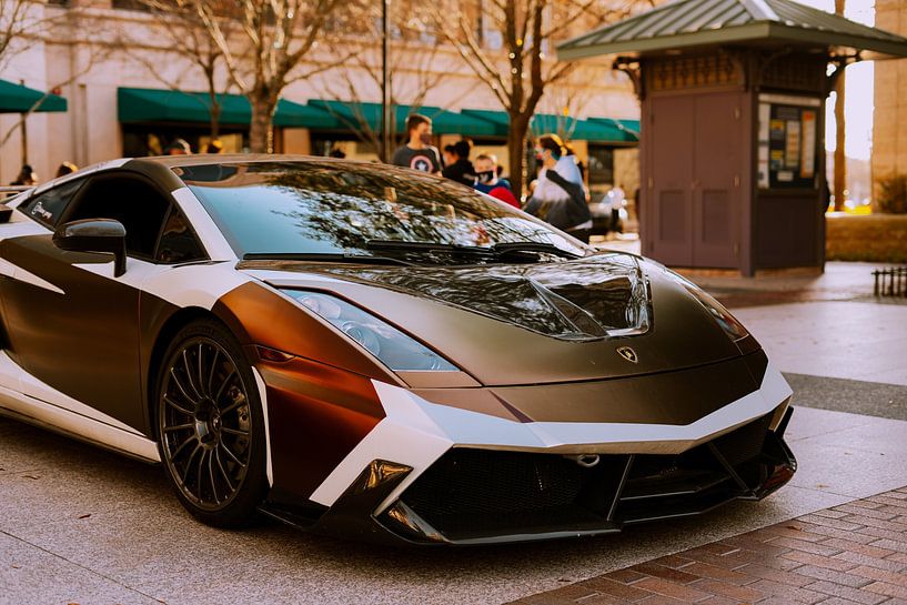 Super Cars by Hello Pompoyo