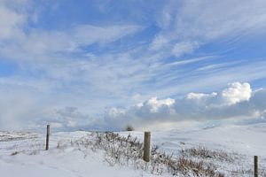 Ameland im Wintergefieder von Rinnie Wijnstra