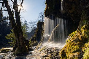 Schleierfälle im Gegenlicht