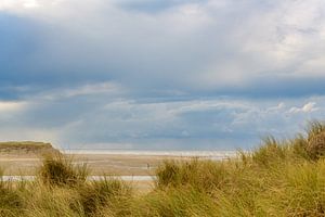 Sluftertal am Strand der Insel Texel im niederländischen Wattenmeer