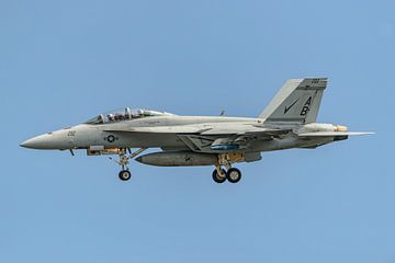 F/A-18F Super Hornet from VFA-211 Fighting Checkmates. by Jaap van den Berg